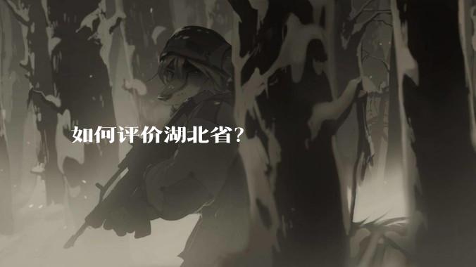 如何评价湖北省？